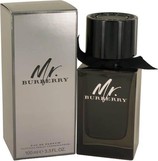Burberry Mr. Burberry Eau de Parfum 100ml