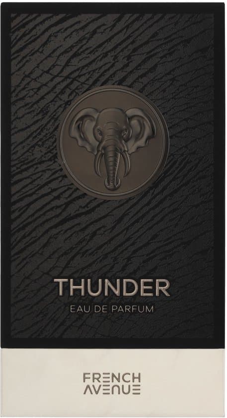 French Avenue Thunder - Eau de Parfum - 100 ml