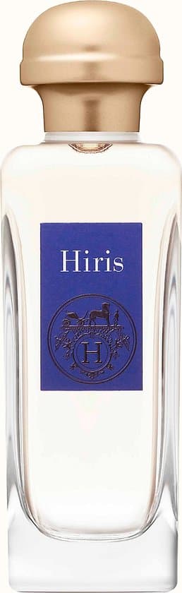 Hermes Hiris Eau De Toilette Spray 100ML