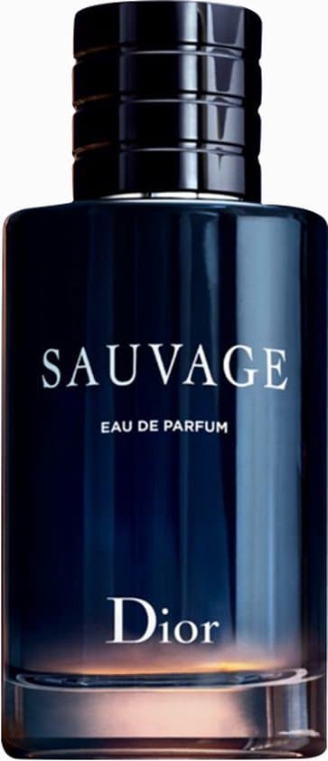 Dior Dior Sauvage EdP 100ml