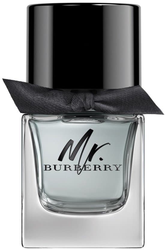 Burberry Mr. Burberry Eau de Toilette 50ml