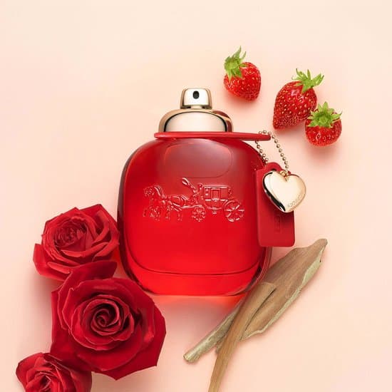 Coach Love Eau de Parfum spray 50 ml - Damesgeur