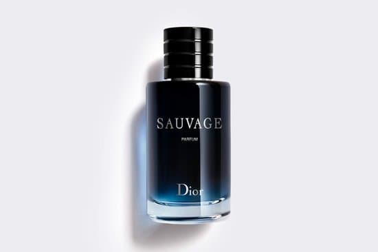 Dior Sauvage - 100 ml - parfum spray - herenparfum