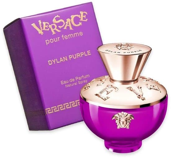 Versace Dylan Purple Eau de Parfum 100ml | Dames Parfum
