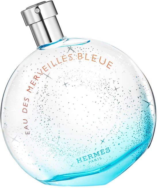 Hermes Eau des Merveilles Bleue 100 ml Eau de Toilette Spray